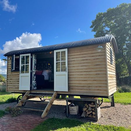 Toadland Shepherd Huts Дърам Екстериор снимка